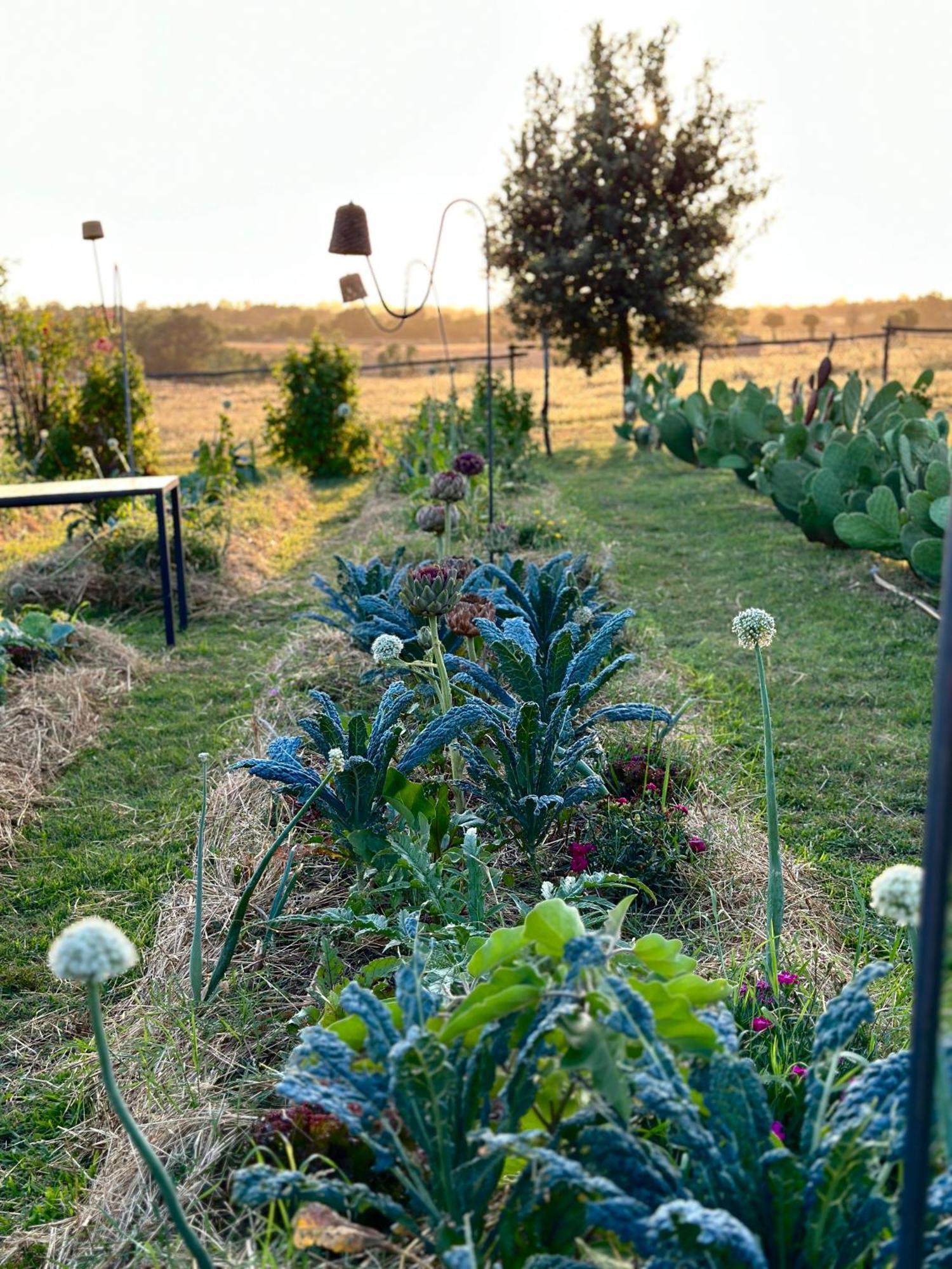 Tenuta Di Paternostro Vetralla Eksteriør bilde